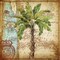 Antique Nautical Palms I Poster Print by Tre Sorelle Studios - Item # VARPDXRB7768TS